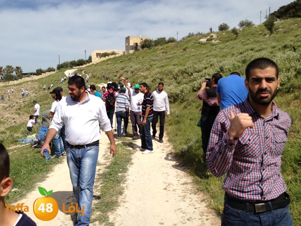 ludandyaffazaitoon (22).JPG